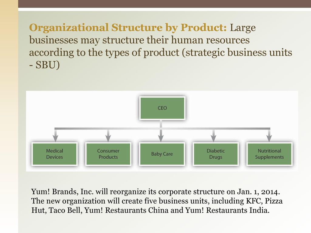 2.2 Organizational structure AO1. - ppt download