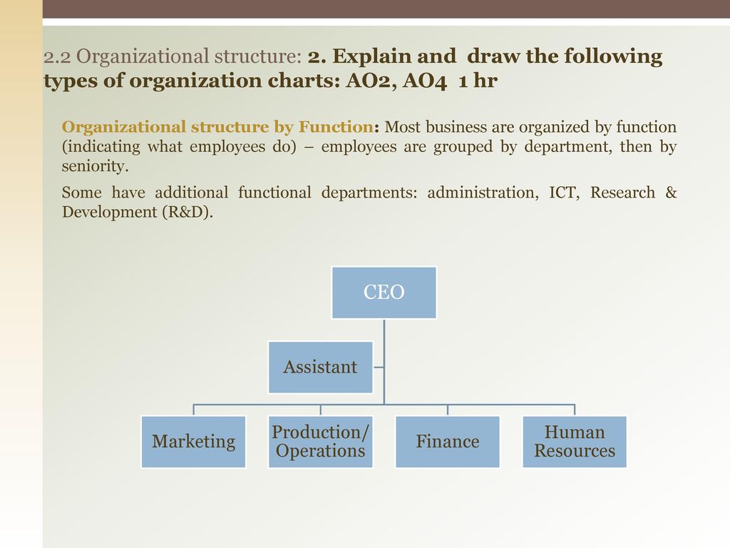 Draw The Organisational Chart Of Finance Function