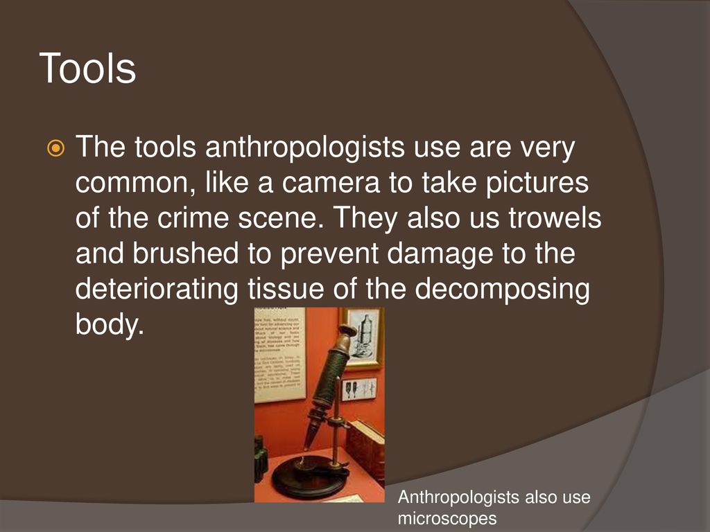 forensic anthropology - ppt download