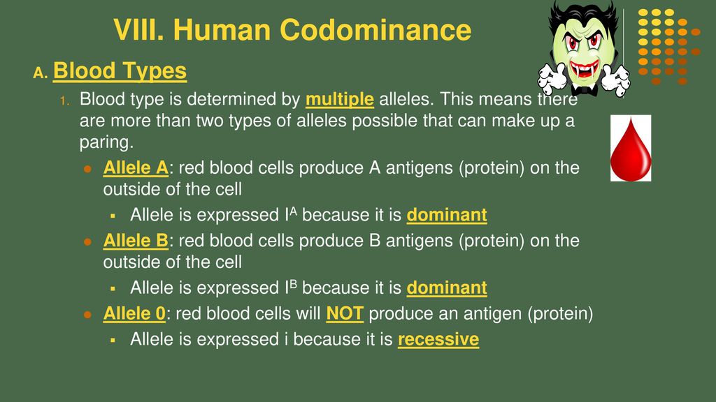 Human Codominance Blood Types