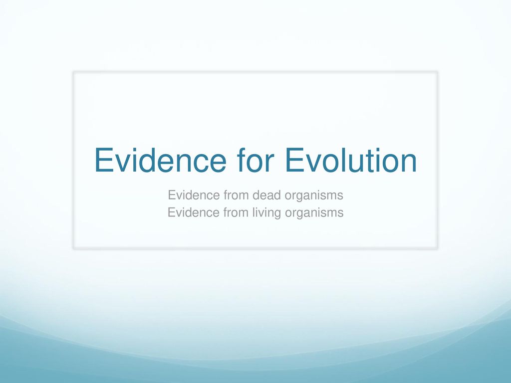 Evidence for evolution ppt download
