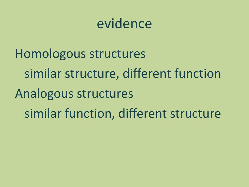 evidence Homologous structures similar structure, different function Analogous structures similar function, different structure