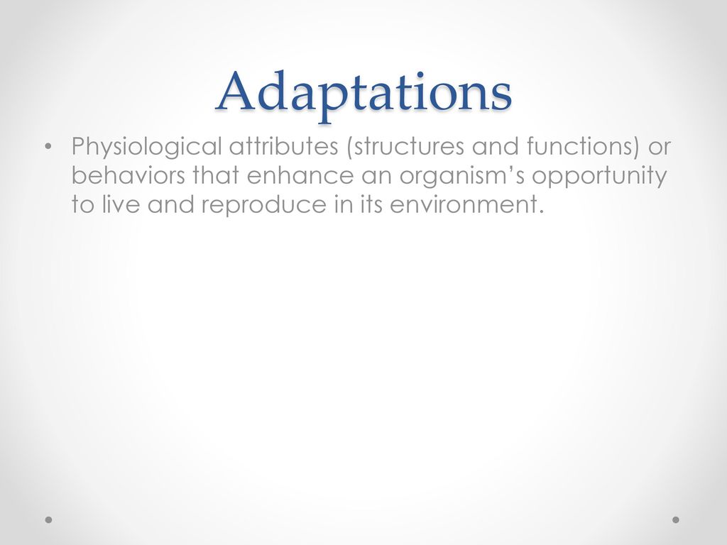 Adaptations. - ppt download