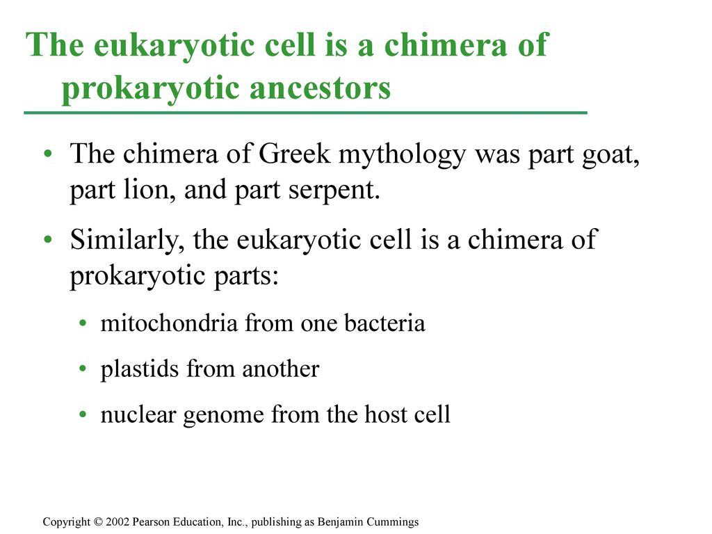 The eukaryotic cell is a chimera of prokaryotic ancestors