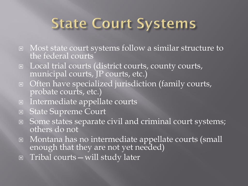 The Court System Chapter ppt download