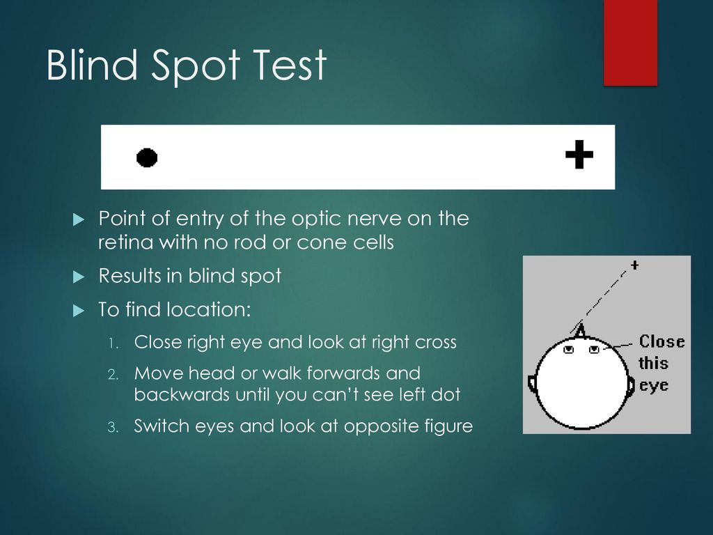 Vision And Perception Project Best Ppt Download