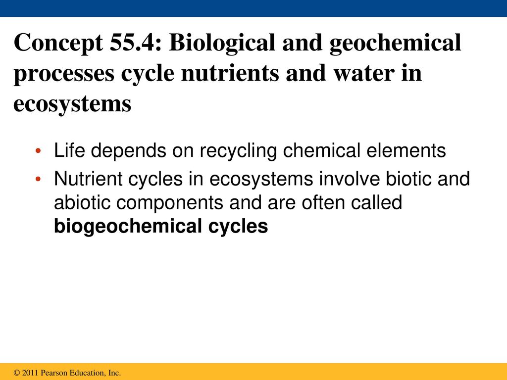 Concept 55.4: Biological and geochemical processes cycle nutrients and water in ecosystems