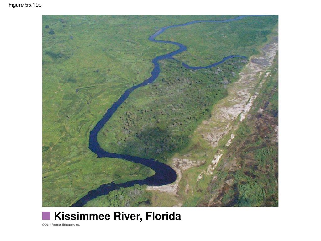 Kissimmee River, Florida