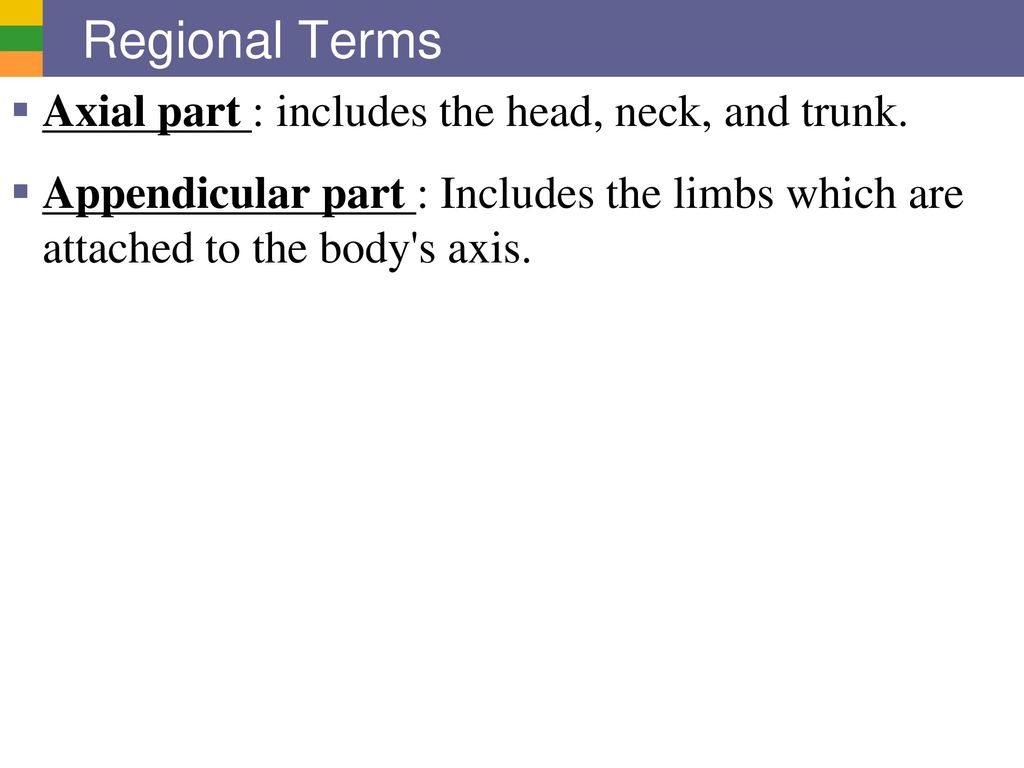 Regional Terms Axial part : includes the head, neck, and trunk.