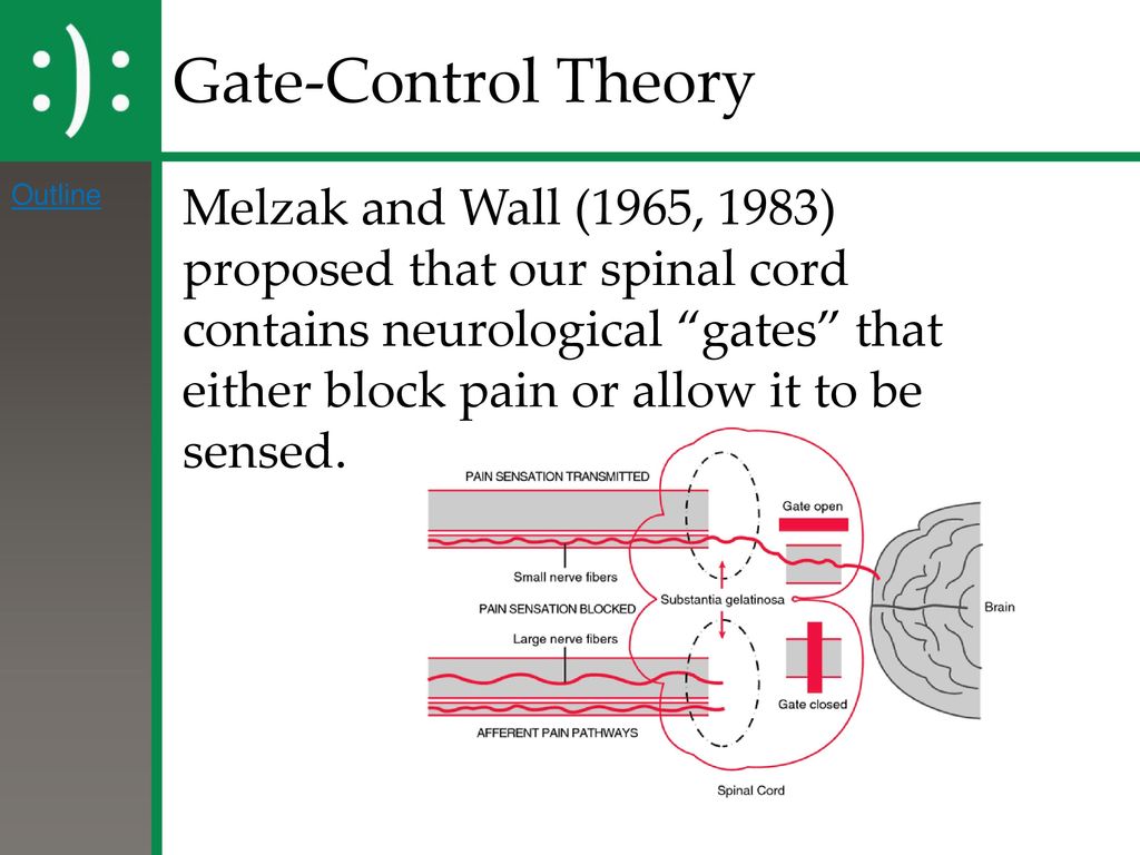 Gate-Control Theory Outline.
