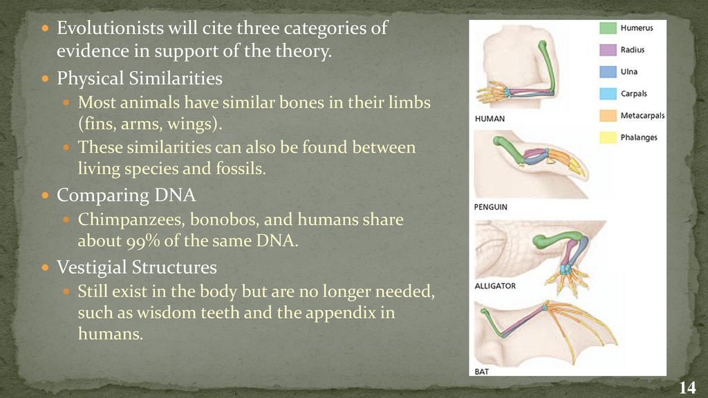 Evolution and Ecology It is not the strongest of the species that