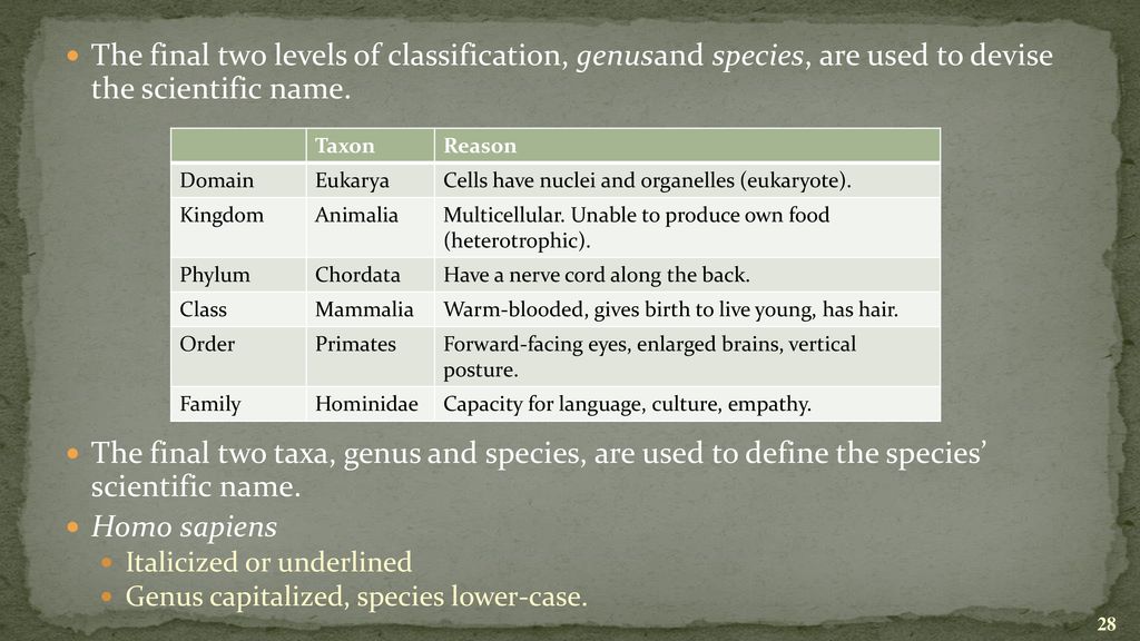 Evolution and Ecology It is not the strongest of the species that