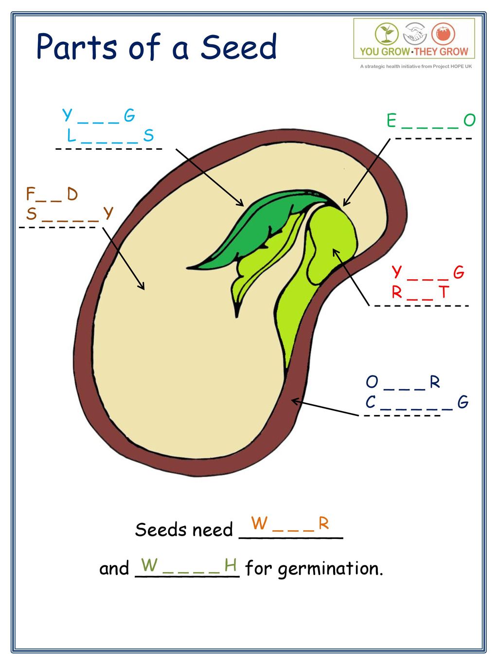 Parts Of A Seed Seeds Need And For Germination Ppt Download