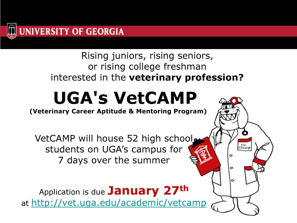 (Veterinary Career Aptitude & Mentoring Program)