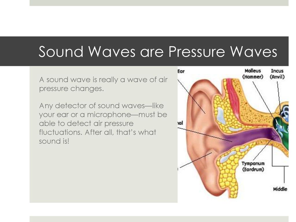 Verteiler - Sound-Pressure  feel the Sound!