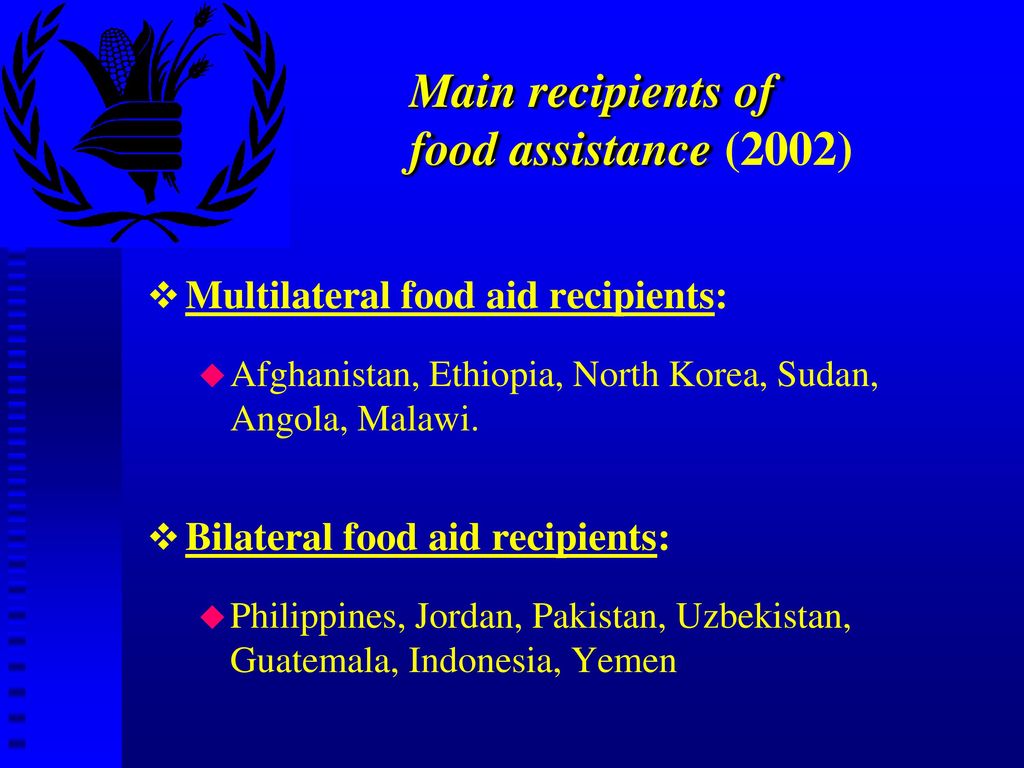 Main recipients of food assistance (2002)