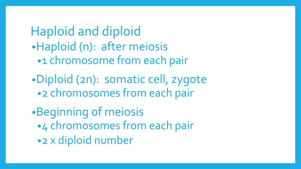 Mitosis, Meiosis, DNA, Cell cycle Biology Diagrams
