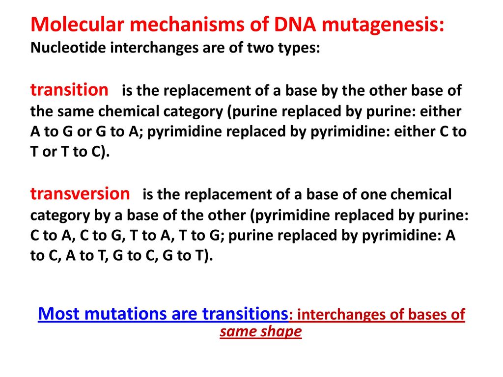 Molecular mechanism of mutation - ppt download