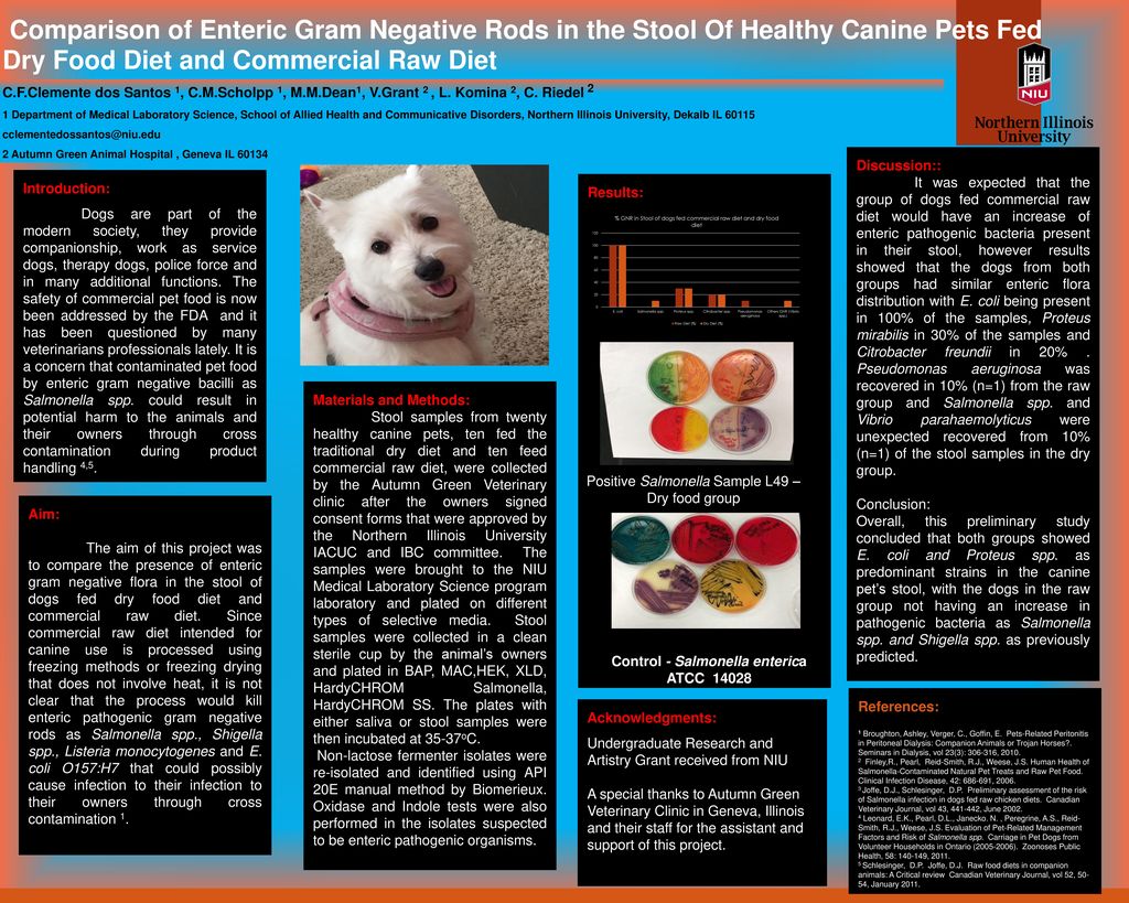 Control Salmonella Enterica ATCC Ppt Download control-salmonella-enterica-atcc-ppt-download
