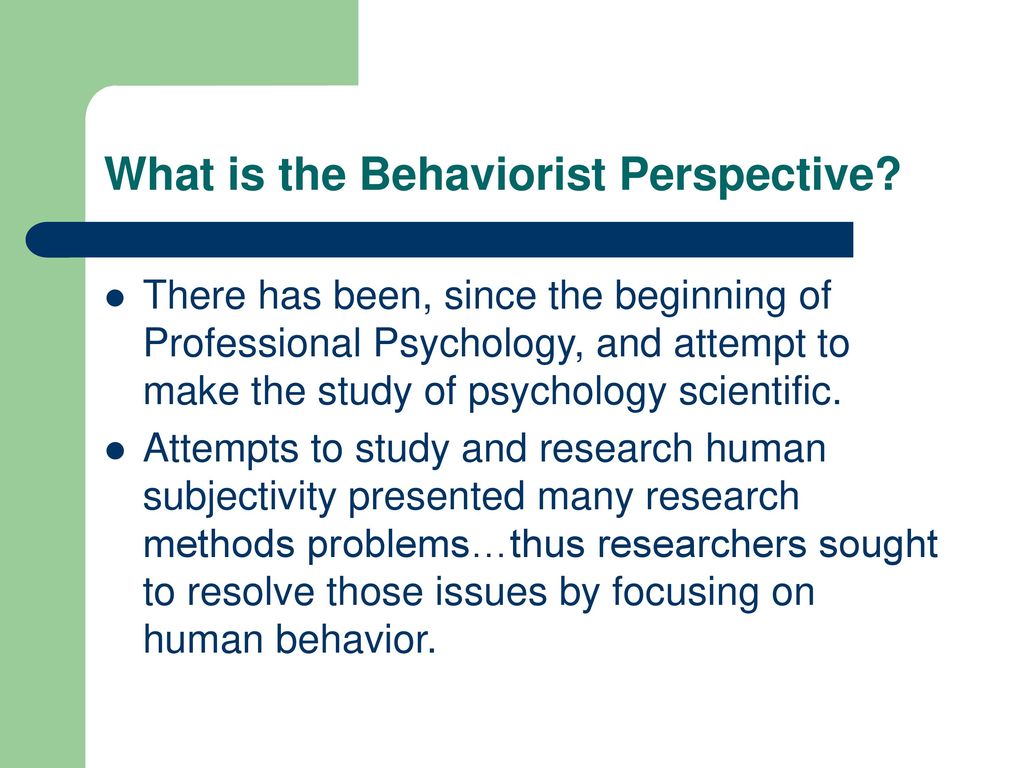behavioral perspective theory