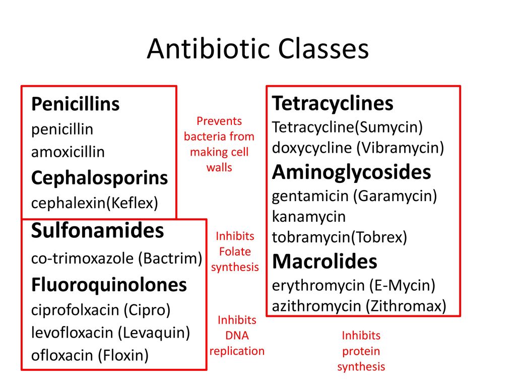 Microbial connections the rise of antibiotic resistance ppt download