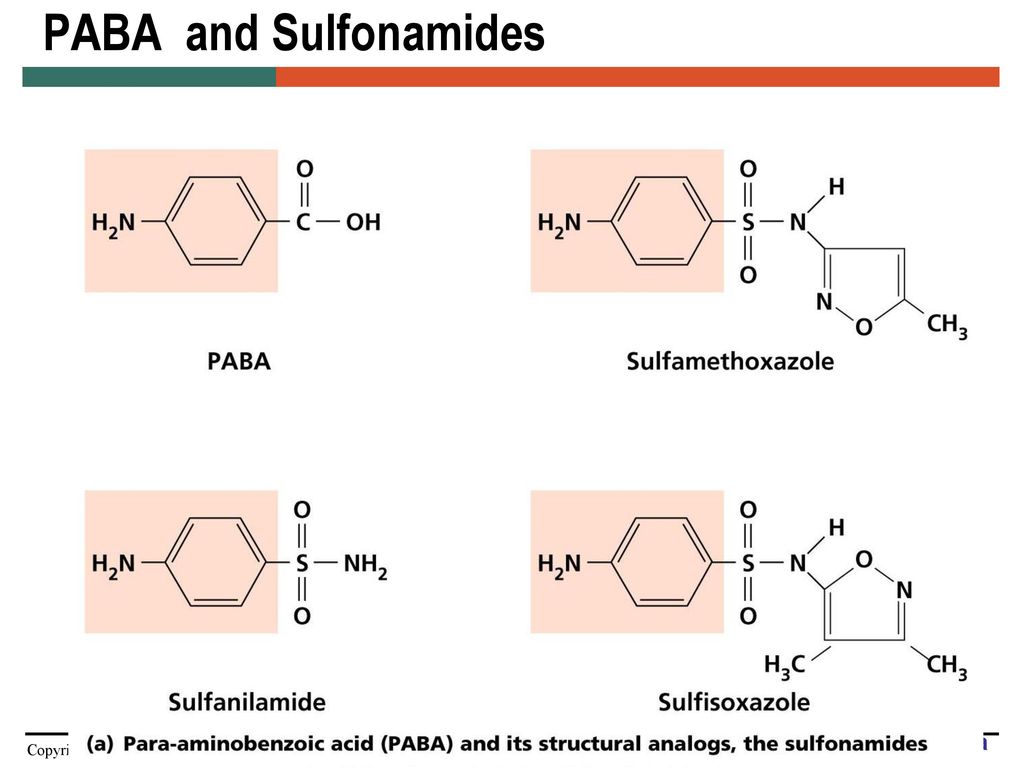 PABA and Sulfonamides Figure 10.6a