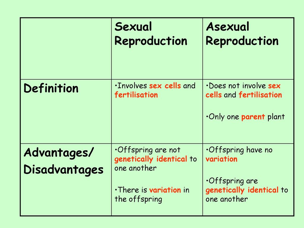 Reproduction Development