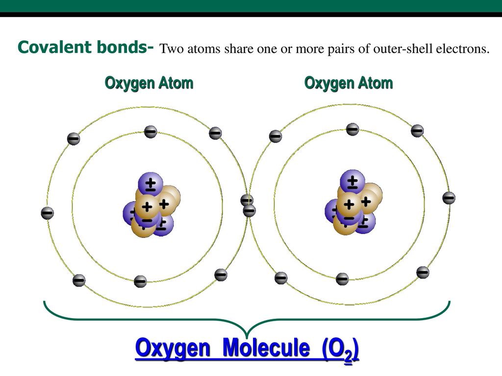 Biology I Covalent Bonds - ppt download