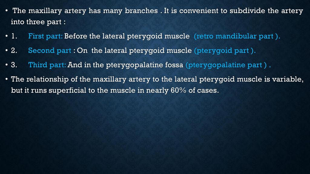 Human Anatomy Maxillary artery - ppt download