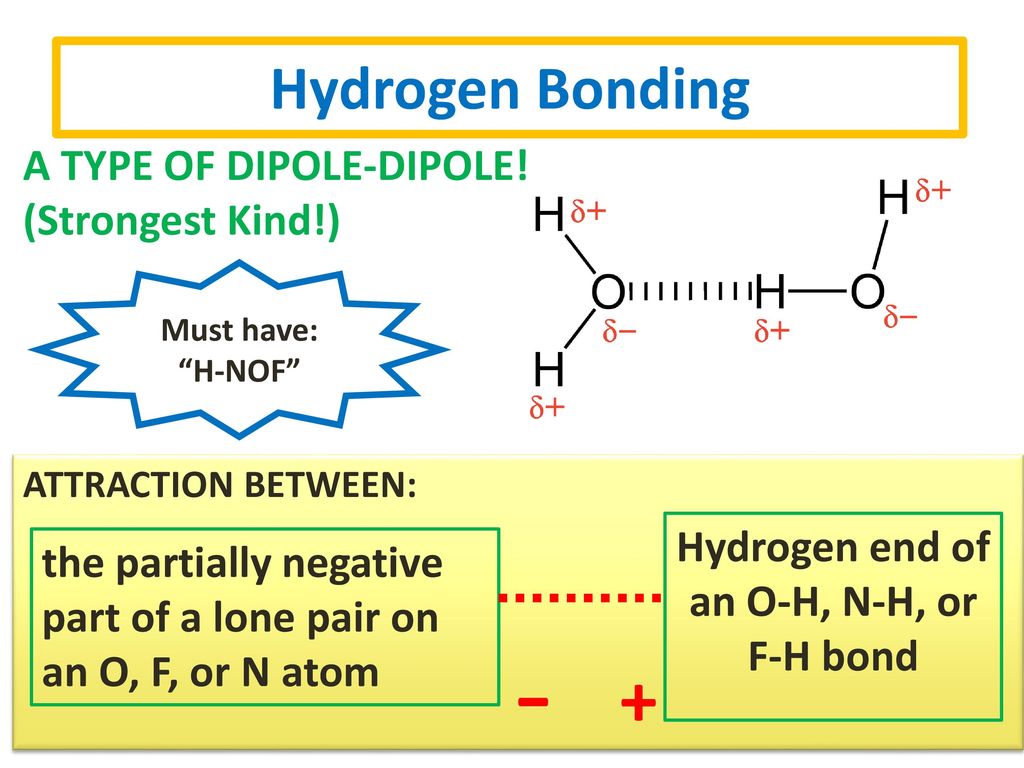 Hydrogen end of an O-H, N-H, or F-H bond