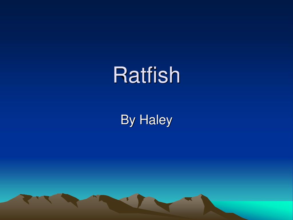 Ratfish By Haley