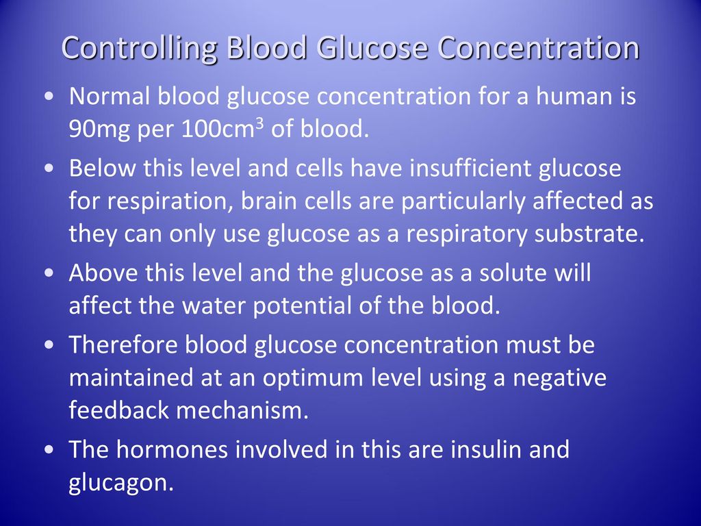 Module 5 Communication Homeostasis Energy Ppt Download module-5-communication-homeostasis-energy-ppt-download