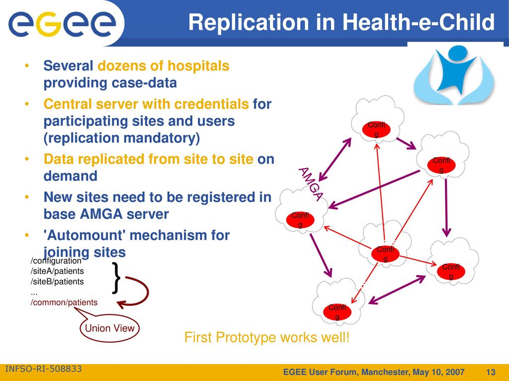 Replication in Health-e-Child