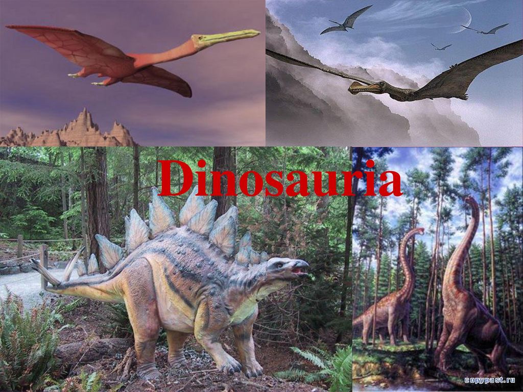 Динозавр на английском. Проект про динозавров. Динозавр по английскому. Проект по английскому про динозавров. Динозавры 4 класс.