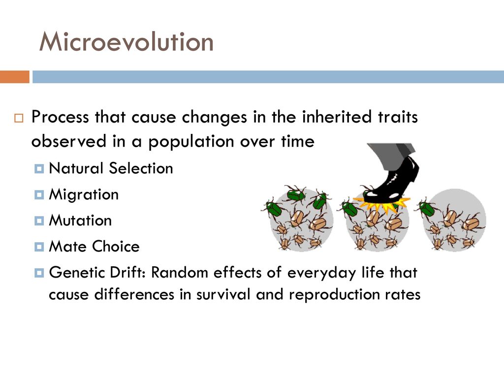 Microevolution Process that cause changes in the inherited traits observed in a population over time.
