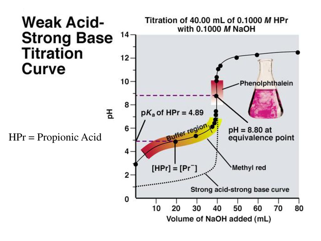 Robust перевод. Acid-Base Titration. Titration curve. Weak acid strong Base Titration. Protein Titration curve.