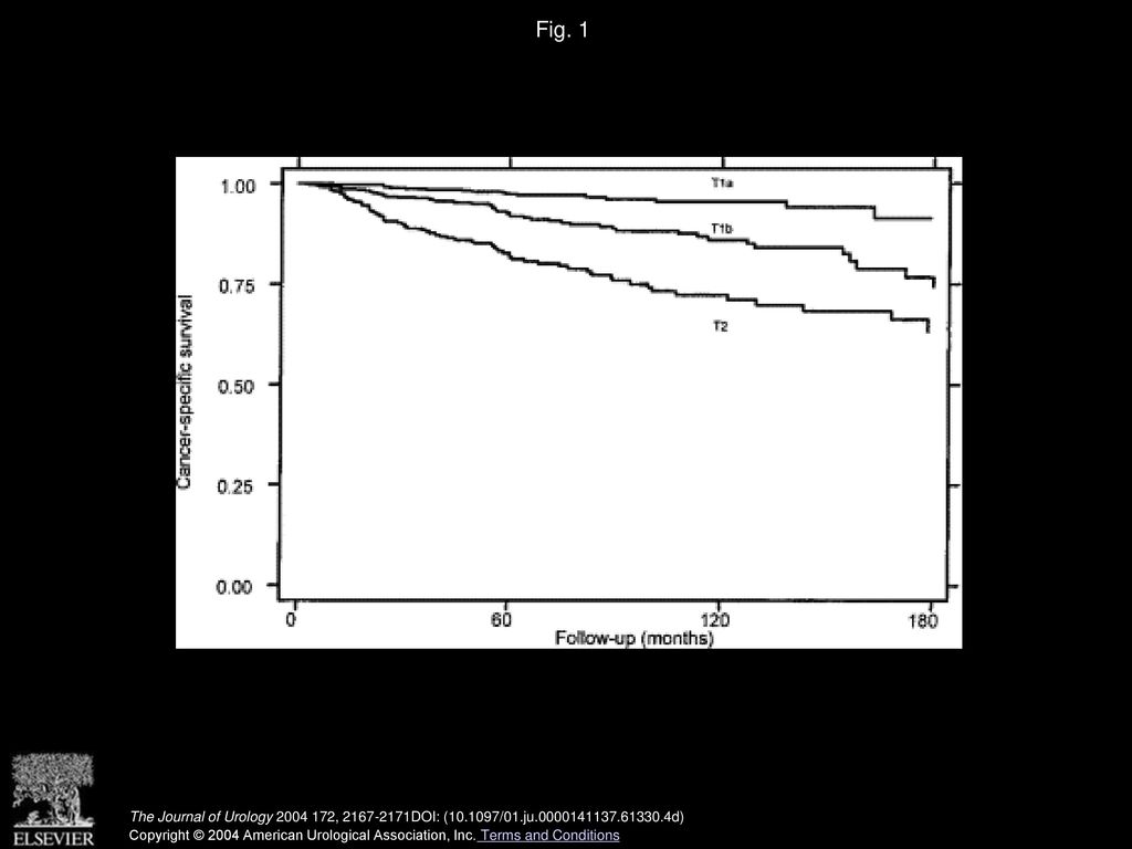 Fig. 1 Kaplan-Meier survival estimates according to 2002 TNM classification in 1,771 patients with T1-T2N0M0 renal tumors.