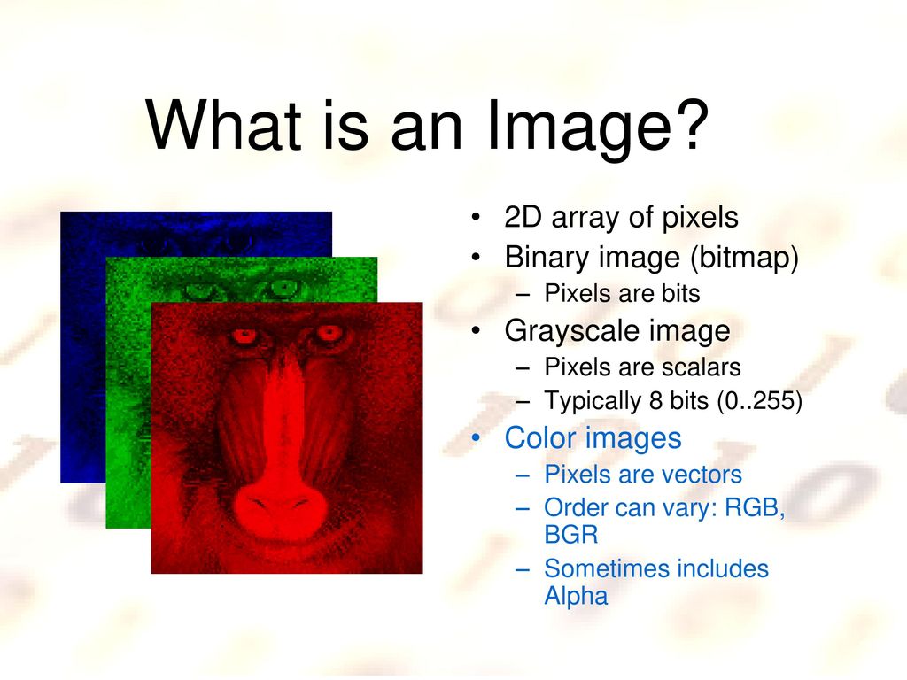 Tracking the eyes using a webcam ppt download
