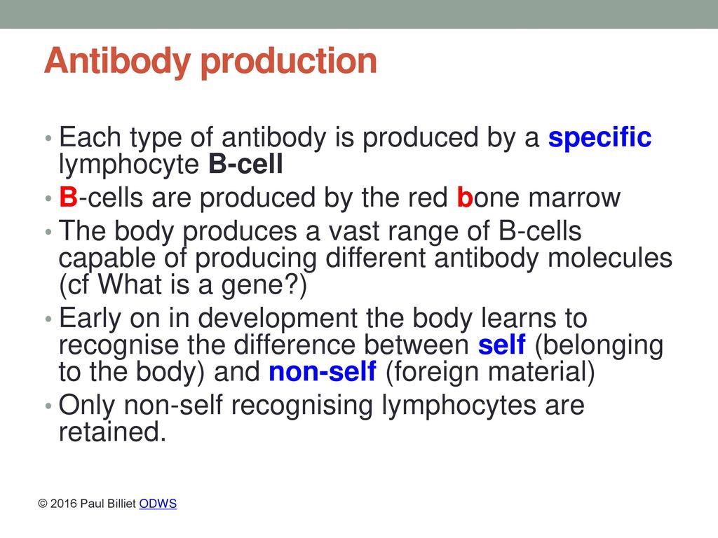 Defense against disease Biology Diagrams