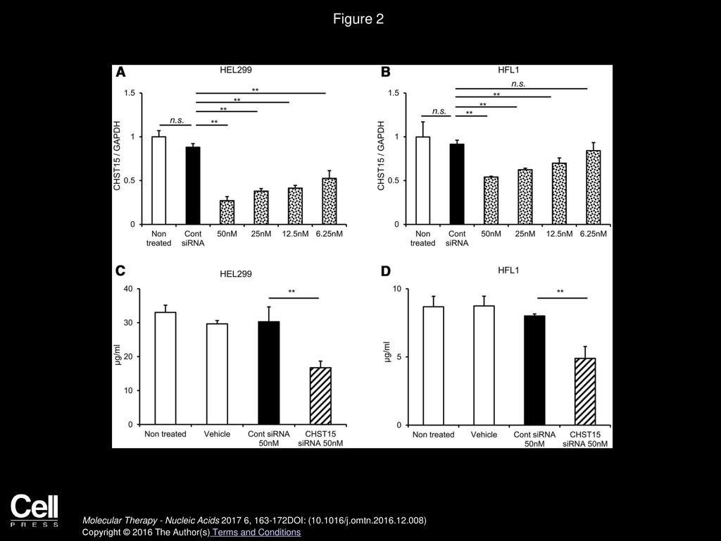 Figure 2 Suppression of CHST15 mRNA Expression and Collagen Production in Human Lung Fibroblasts by CHST15 siRNA.