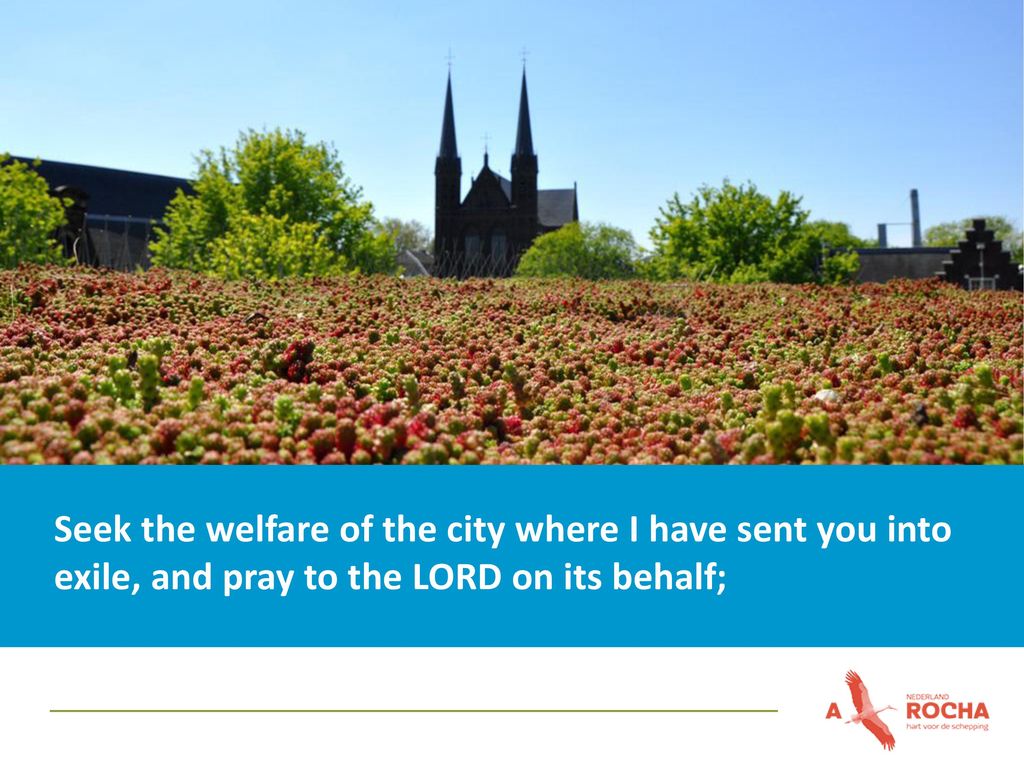 Seek the welfare of the city where I have sent you into exile, and pray to the LORD on its behalf;