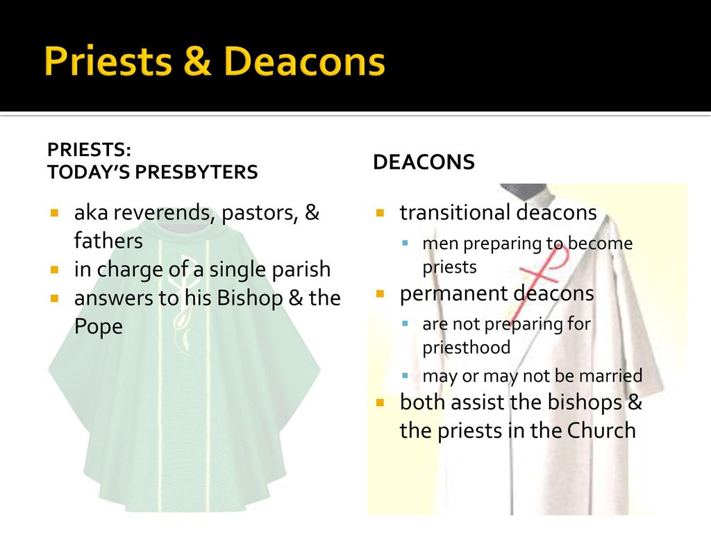 Priests & Deacons aka reverends, pastors, & fathers