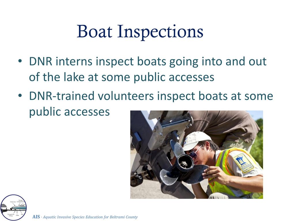 Boat Inspections DNR interns inspect boats going into and out of the lake at some public accesses.