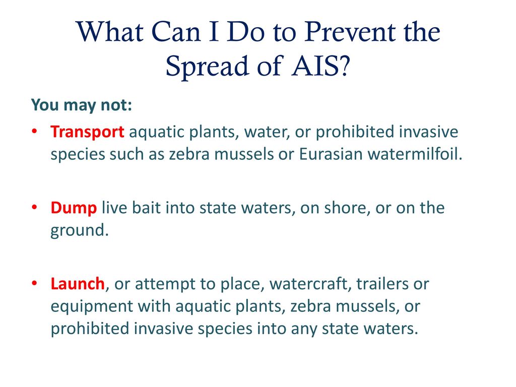 What Can I Do to Prevent the Spread of AIS