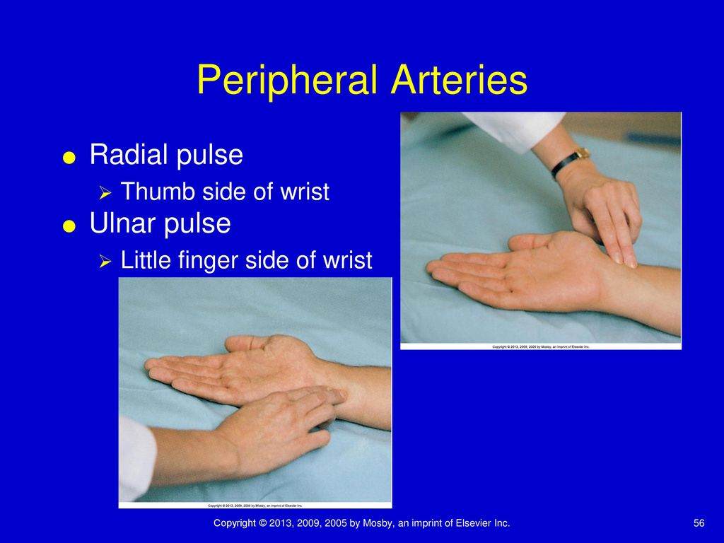 Health Assessment And Physical Examination Ppt Download