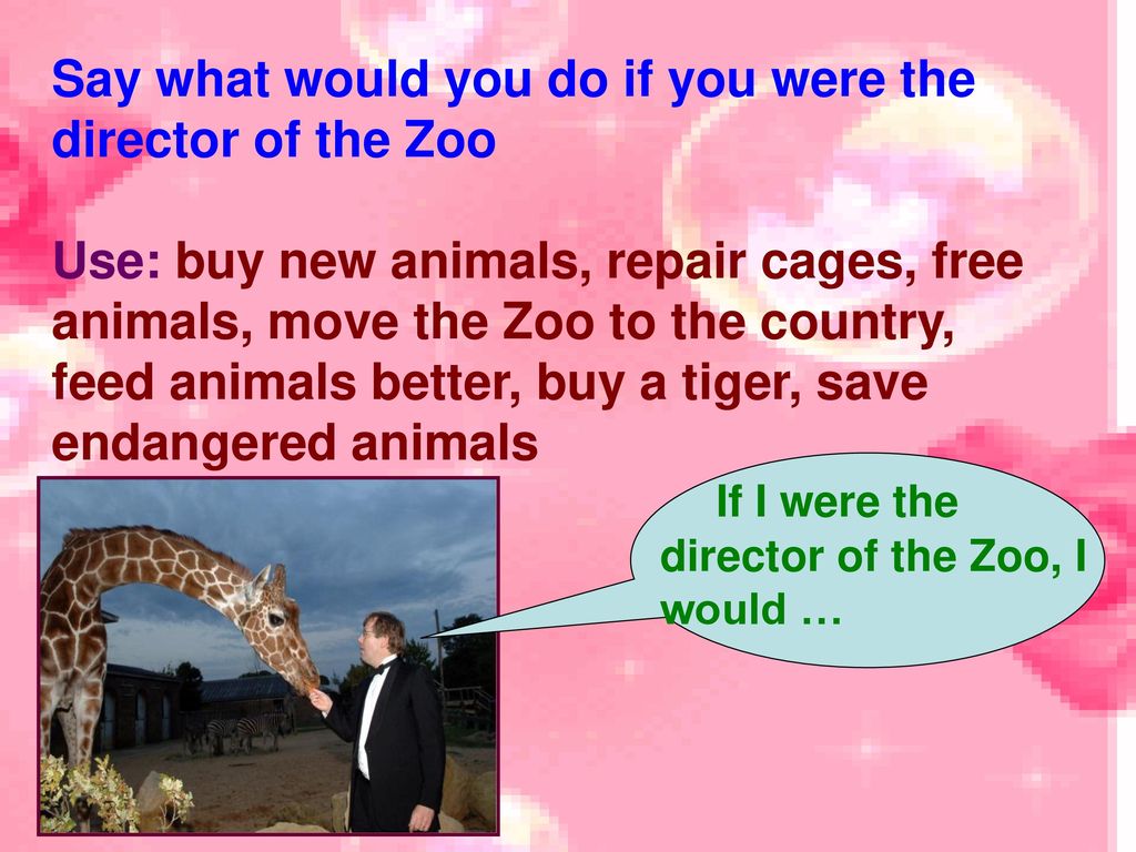 Essay about animals. Have you ever been to the Zoo. Why we should save endangered animals. Эссе по английскому на тему what can we do to save endangered animals. Эссе на тему what can we do to save endangered animals?.