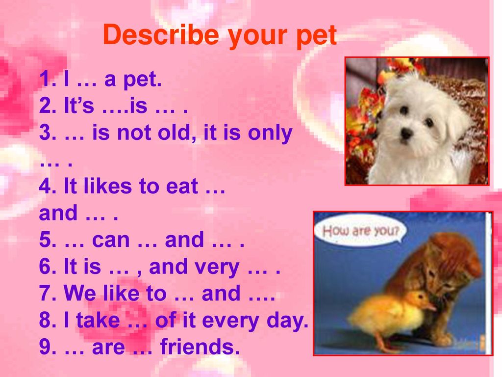 Keeping pets перевод. Describe your Pet. Describe my Pet. My Pet 3 класс. Чтение my Pet для малышей.