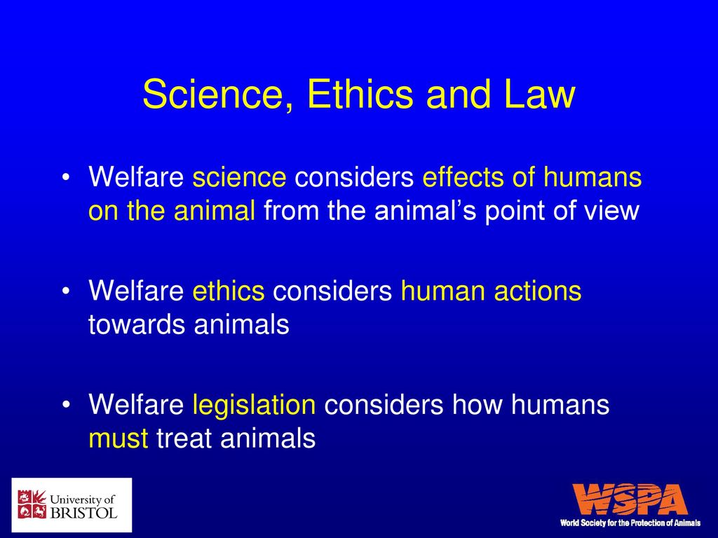Animal welfare introduction - ppt download