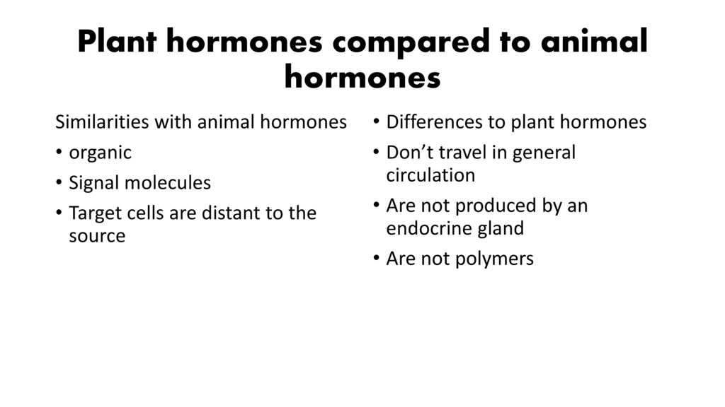 Plant hormones. - ppt download Plant hormones. - ppt download