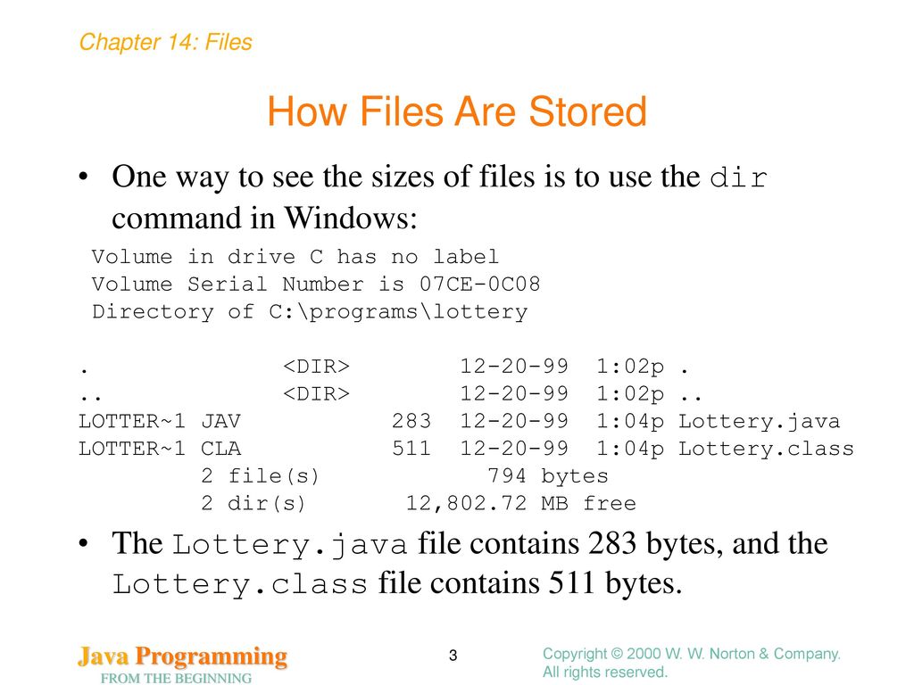 Files Chapter 14 Copyright © 2000 W. W. Norton & Company ...